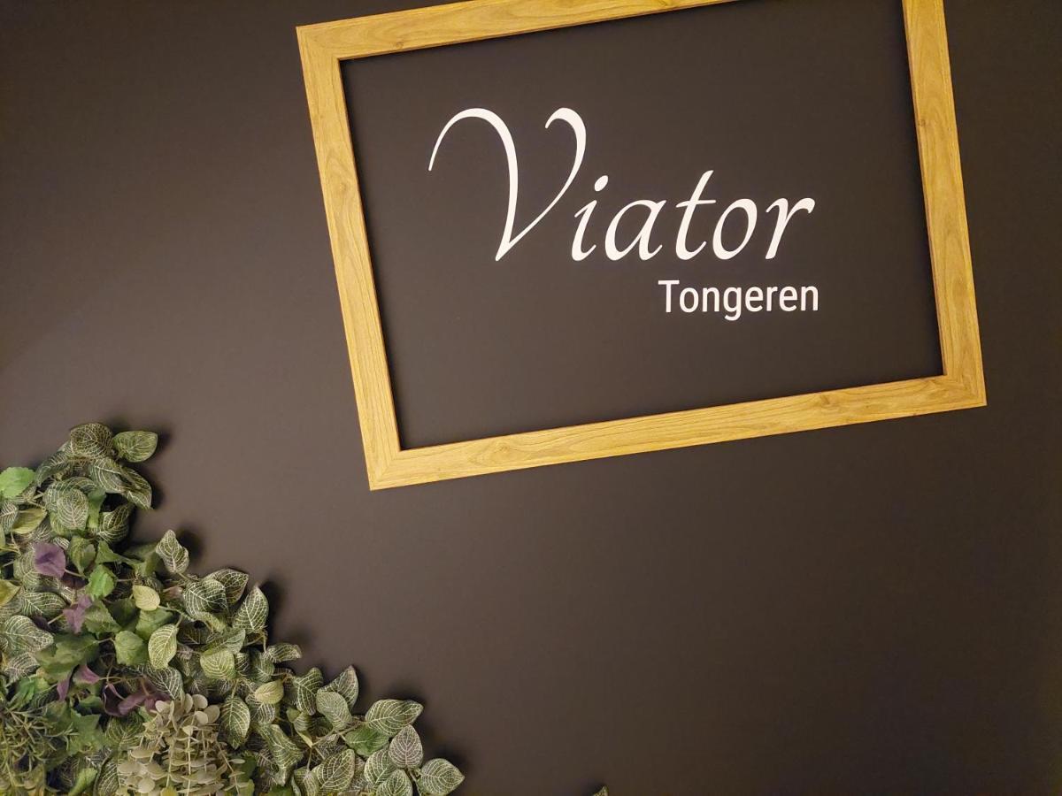 Viator Tongeren Bed & Breakfast Eksteriør bilde